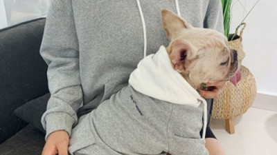 댕댕이랑 커플룩? 완전 핫한 반팔티 득템 후기! 😍