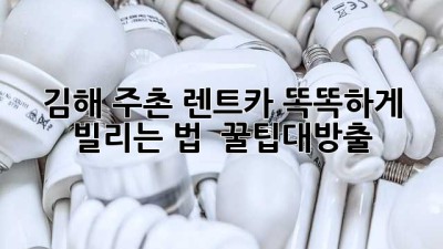 김해 주촌 렌트카 똑똑하게 빌리는 법! 🚗💨 #꿀팁대방출