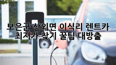 보은군 산외면 이식리 렌트카 최저가 찾기: 꿀팁 대방출!