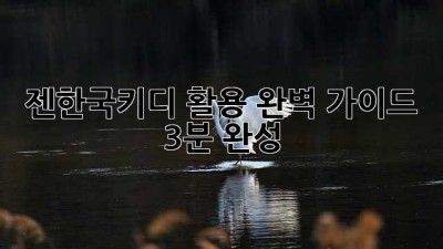 젠한국키디 활용 완벽 가이드: 3분 완성!